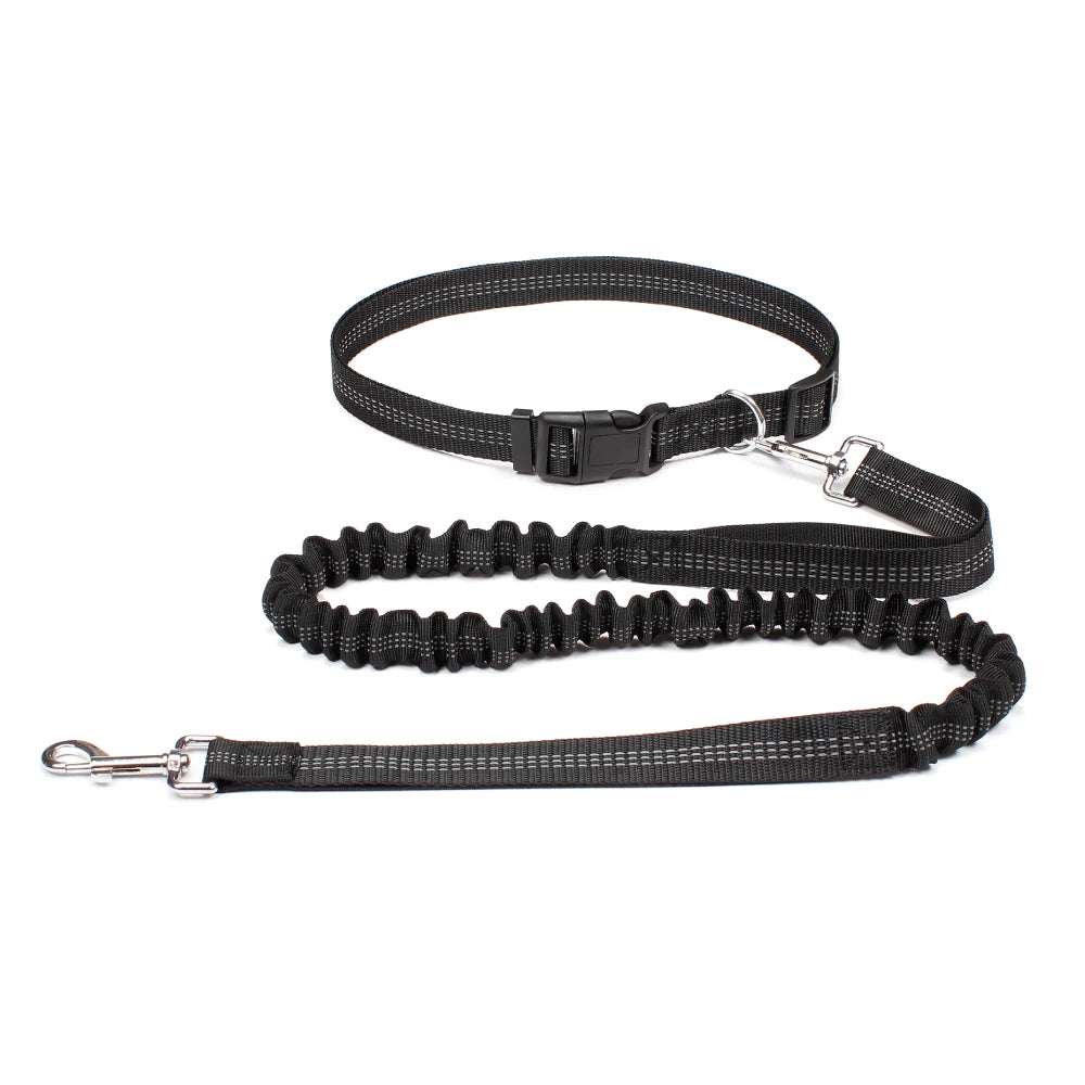 Adjustable hands-free dog jogging leash with durable nylon, reflective stitching, waist belt, and chest strap for secure and comfortable fit