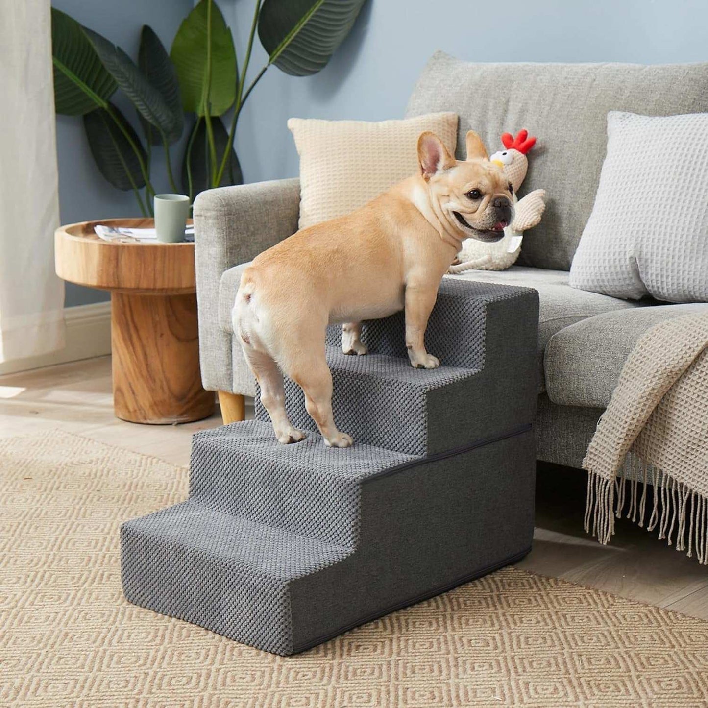 Small dog using a gray four-step dog stairs ramp with non-slip tread beside a sofa in a living room