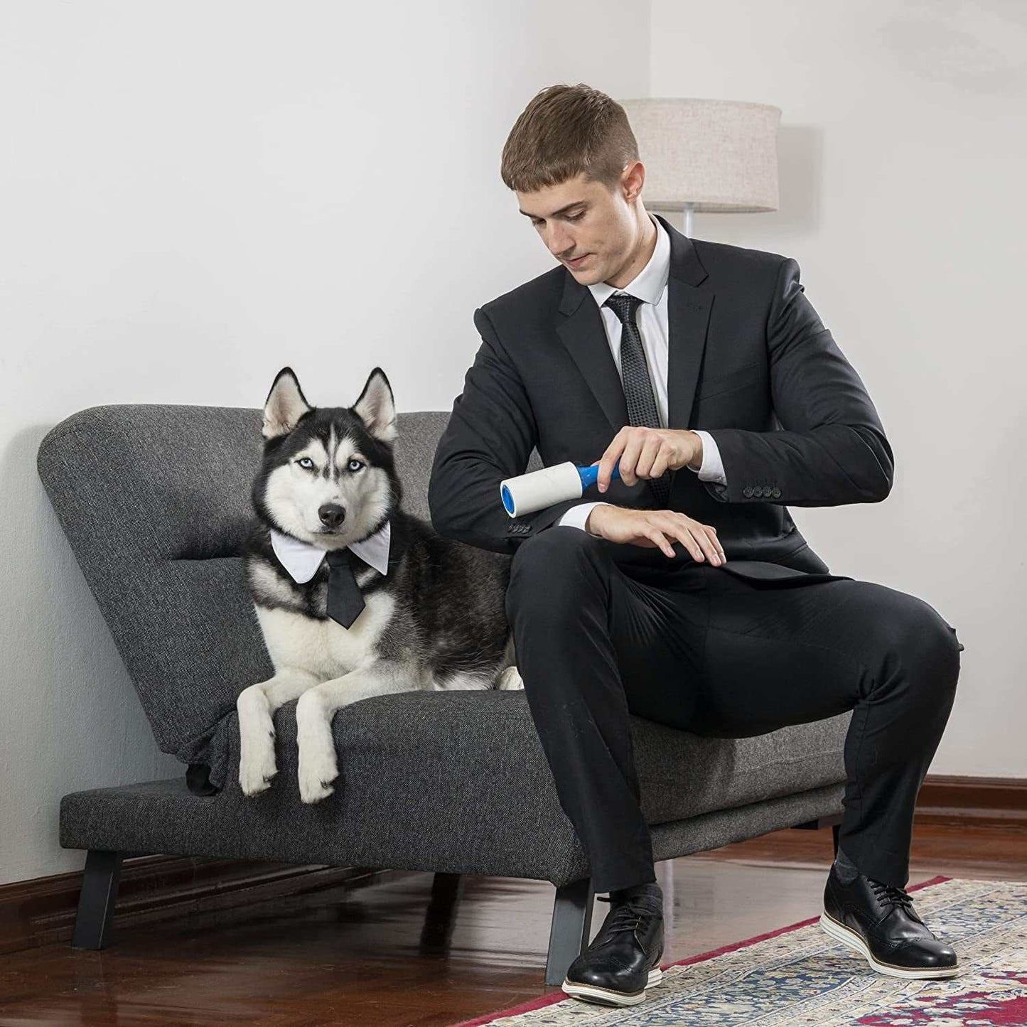 Man in suit using pet hair removal lint roller on his arm next to husky dog on sofa