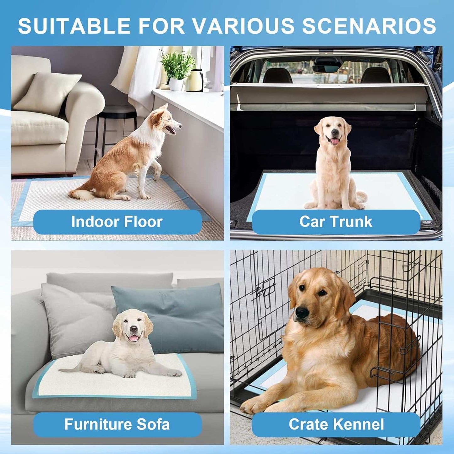 Pet Pee Absorbent Pads used indoors on floor, car trunk, furniture sofa, and crate kennel with dogs shown in each setting.
