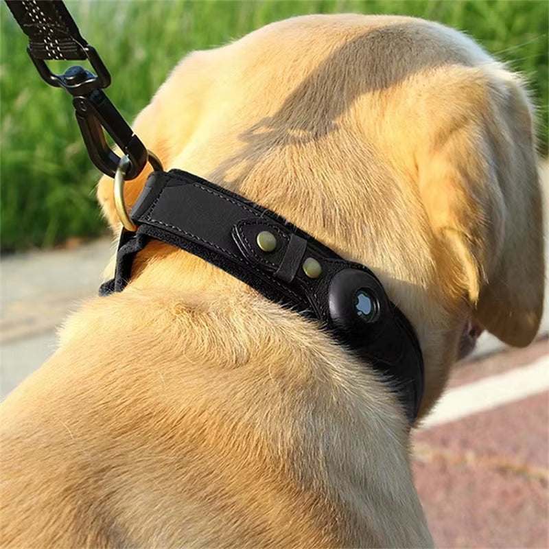 Black leather pet collar with Apple Airtag holder on a golden retriever outdoors.