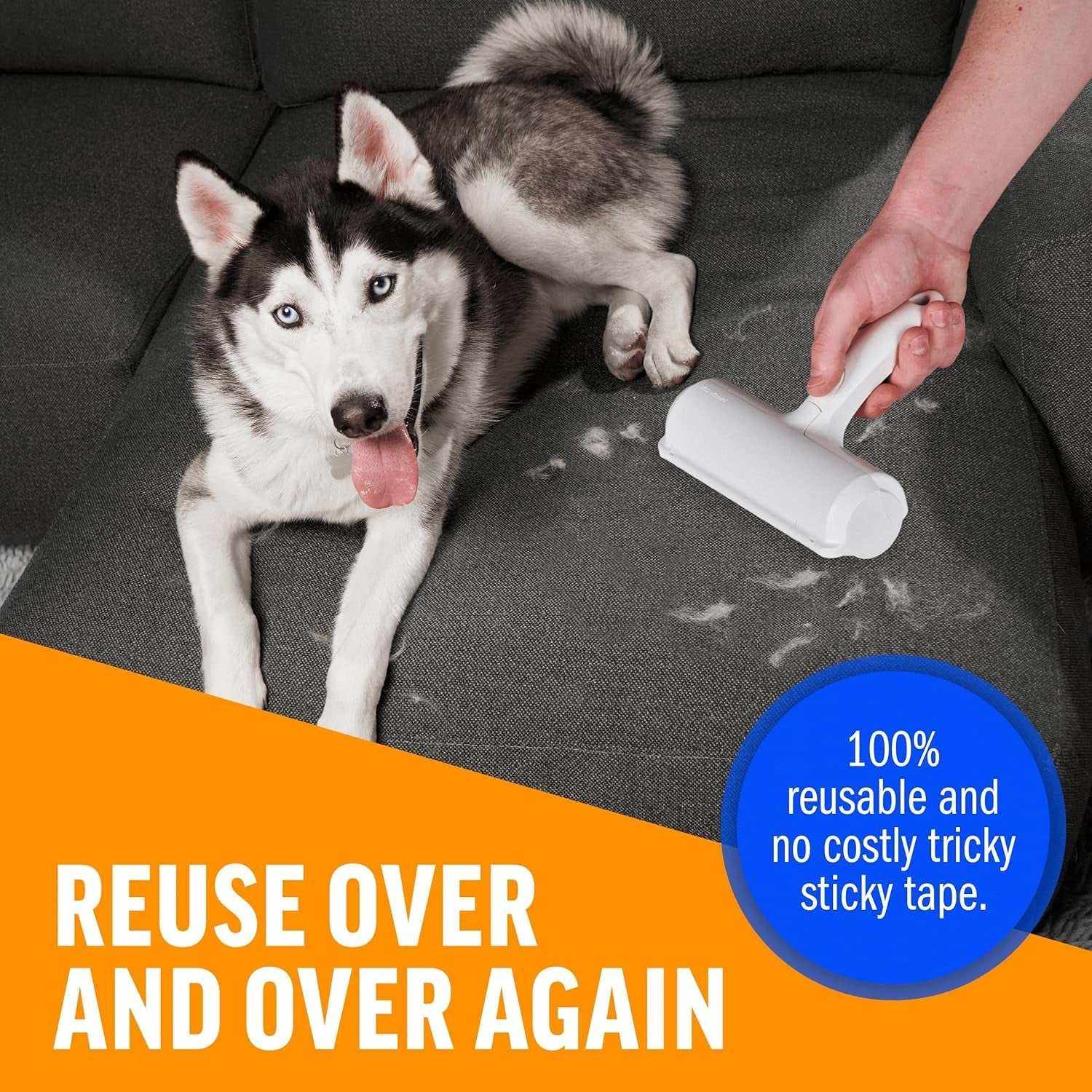Pet hair remover roller cleaning fur from gray couch with Siberian husky nearby, reusable lint roller for pet hair removal on furniture