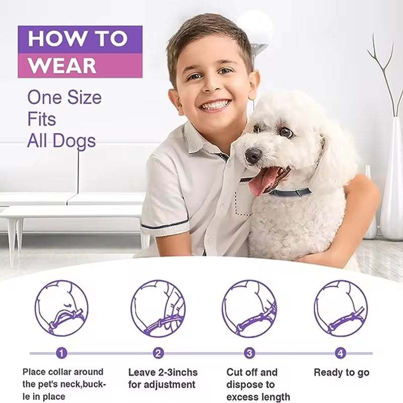 Boy with white dog wearing adjustable calming pheromone collar for dogs to reduce anxiety and stress