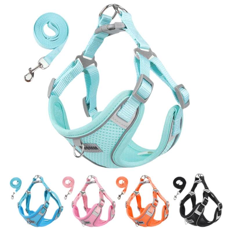 Dog outdoor walking harness and leash set with breathable mesh fabric, reflective strips, adjustable straps, and durable clasp, available in multiple colors.