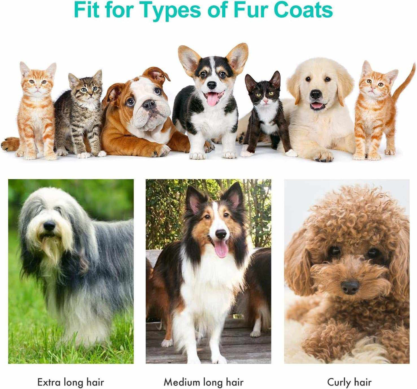 Pet grooming vacuum suitable for various fur coats including extra long hair, medium long hair, and curly hair on dogs and cats.
