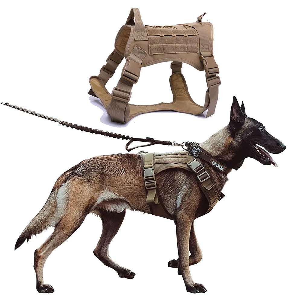 Tactical dog harness and leash in coyote color fitted on a medium-large active dog with durable nylon material and adjustable straps for secure outdoor use.