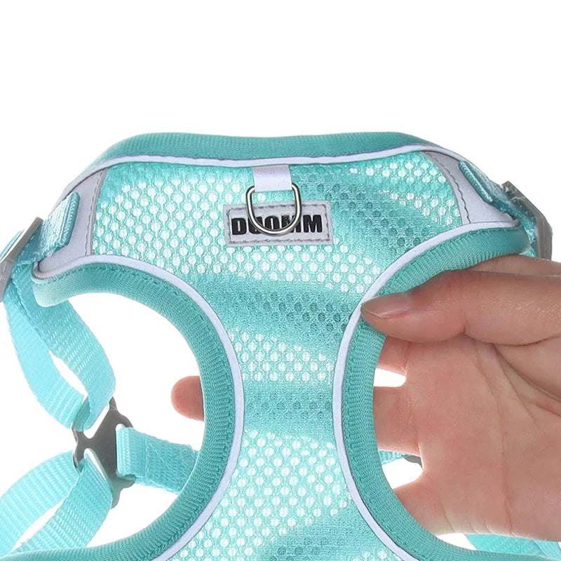 Dog outdoor walking harness leash set with breathable mesh fabric and reflective strips for small to medium pets