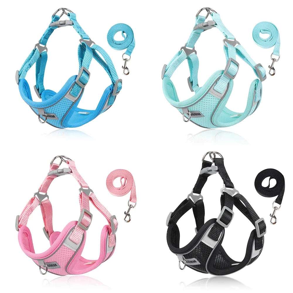 Dog outdoor walking harness and leash set featuring breathable fabric, adjustable straps, reflective design, and durable leash in multiple colors for small to medium dogs.
