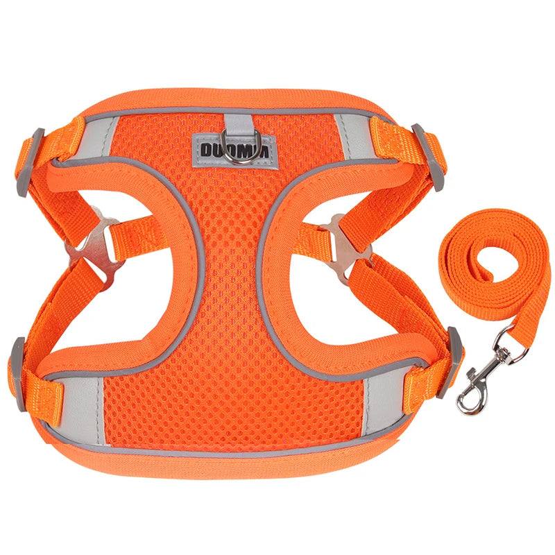 Orange breathable mesh dog harness with reflective strips and matching leash for small to medium pets