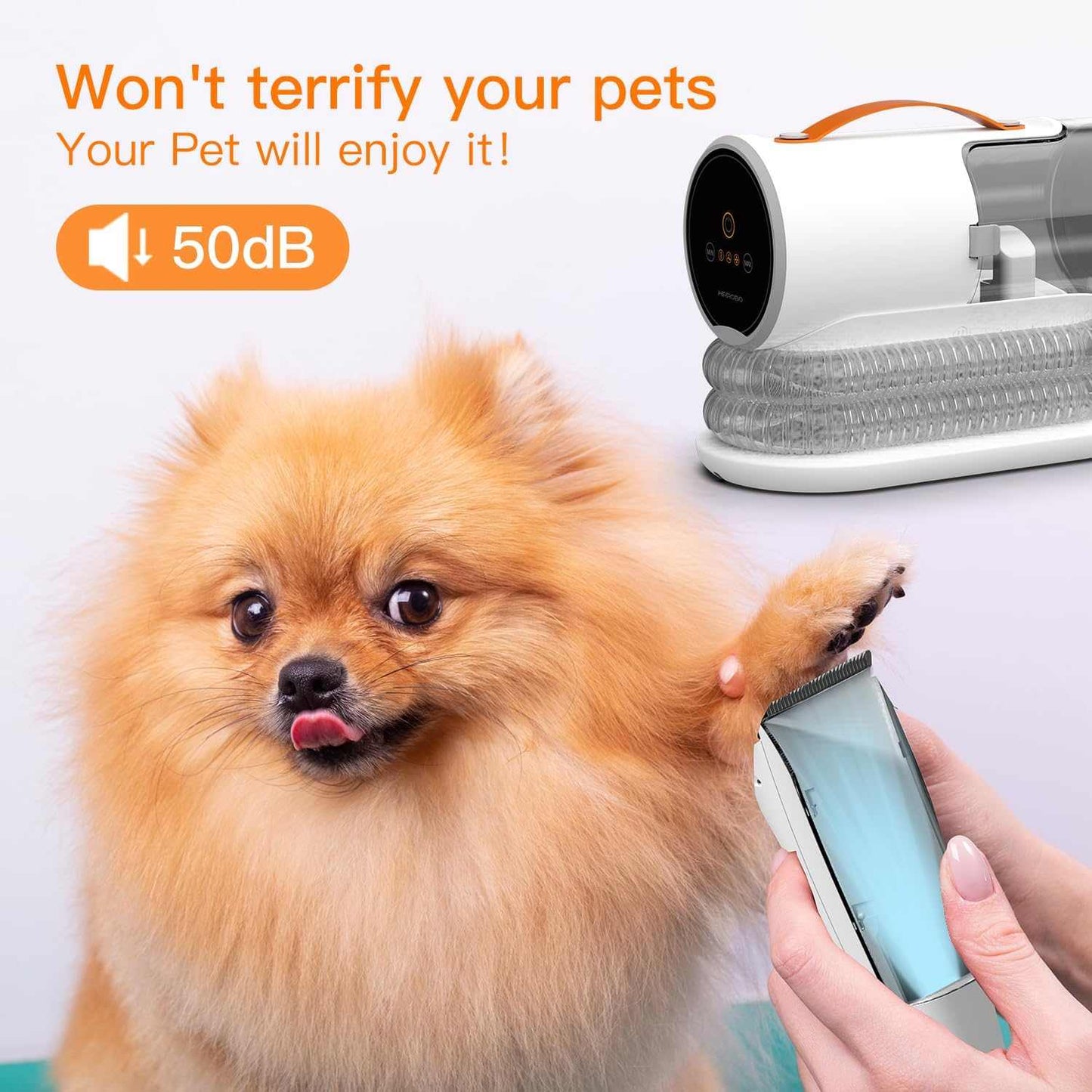 Dog grooming vacuum kit with 12000Pa powerful suction, 2L capacity, quiet operation, and five grooming tools for gentle pet hair removal.