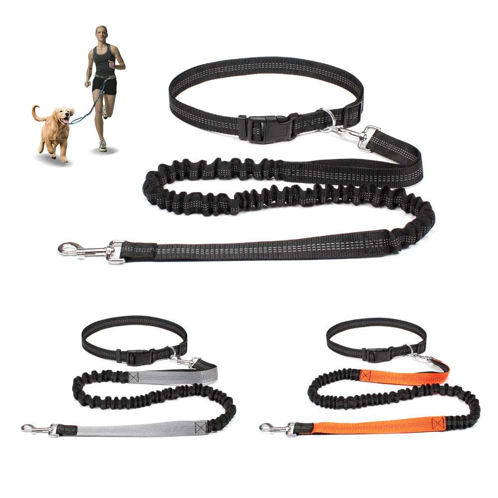 Adjustable hands-free dog jogging leash with reflective stitching for safety and durable nylon material.