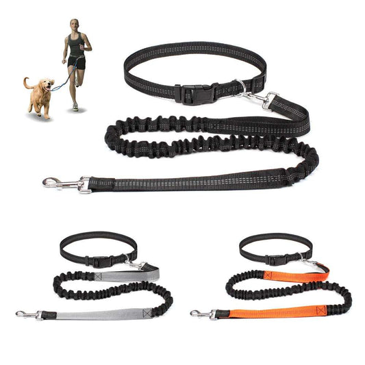 Adjustable hands-free dog jogging leash with reflective stitching for safety and durable nylon material.
