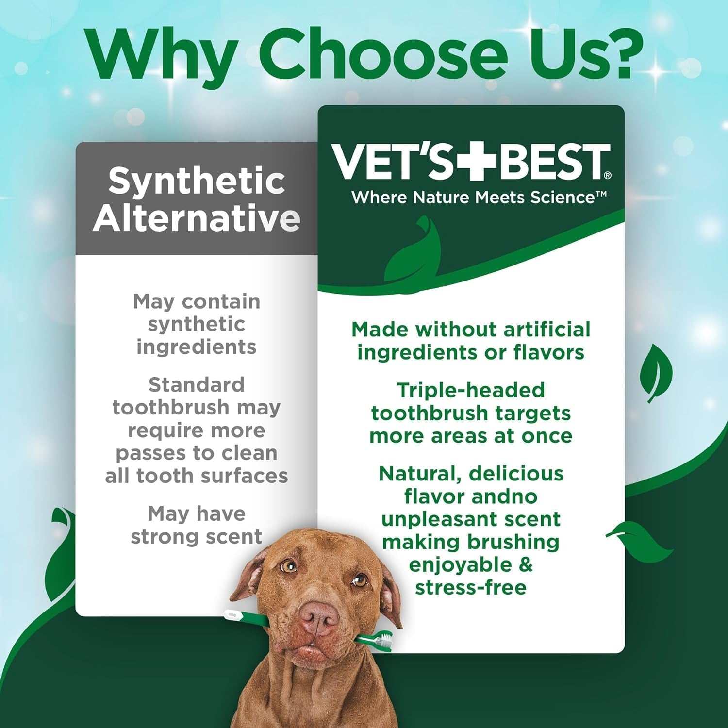 Pet toothpaste and toothbrush set featuring natural enzymatic formula and triple-headed toothbrush for effective, gentle dog oral care and fresh breath.