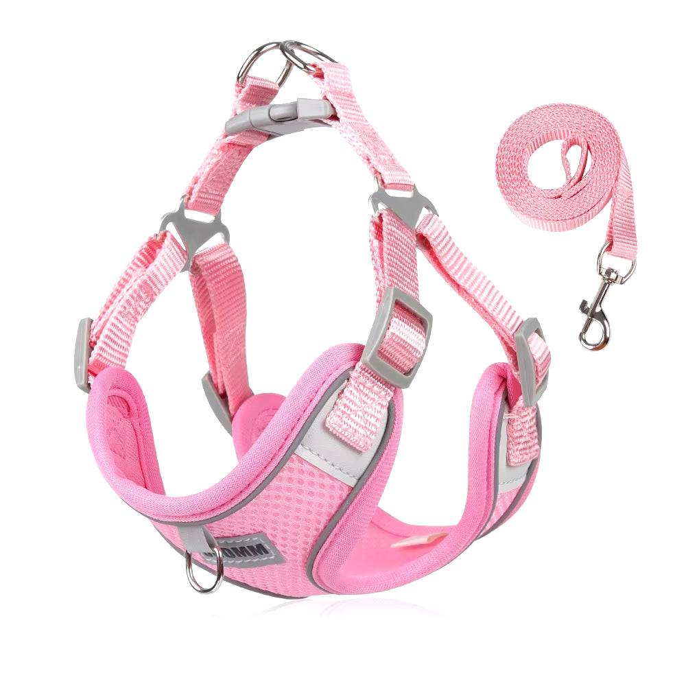 Pink dog outdoor walking harness and leash set with breathable mesh fabric and reflective strips for small to medium pets.