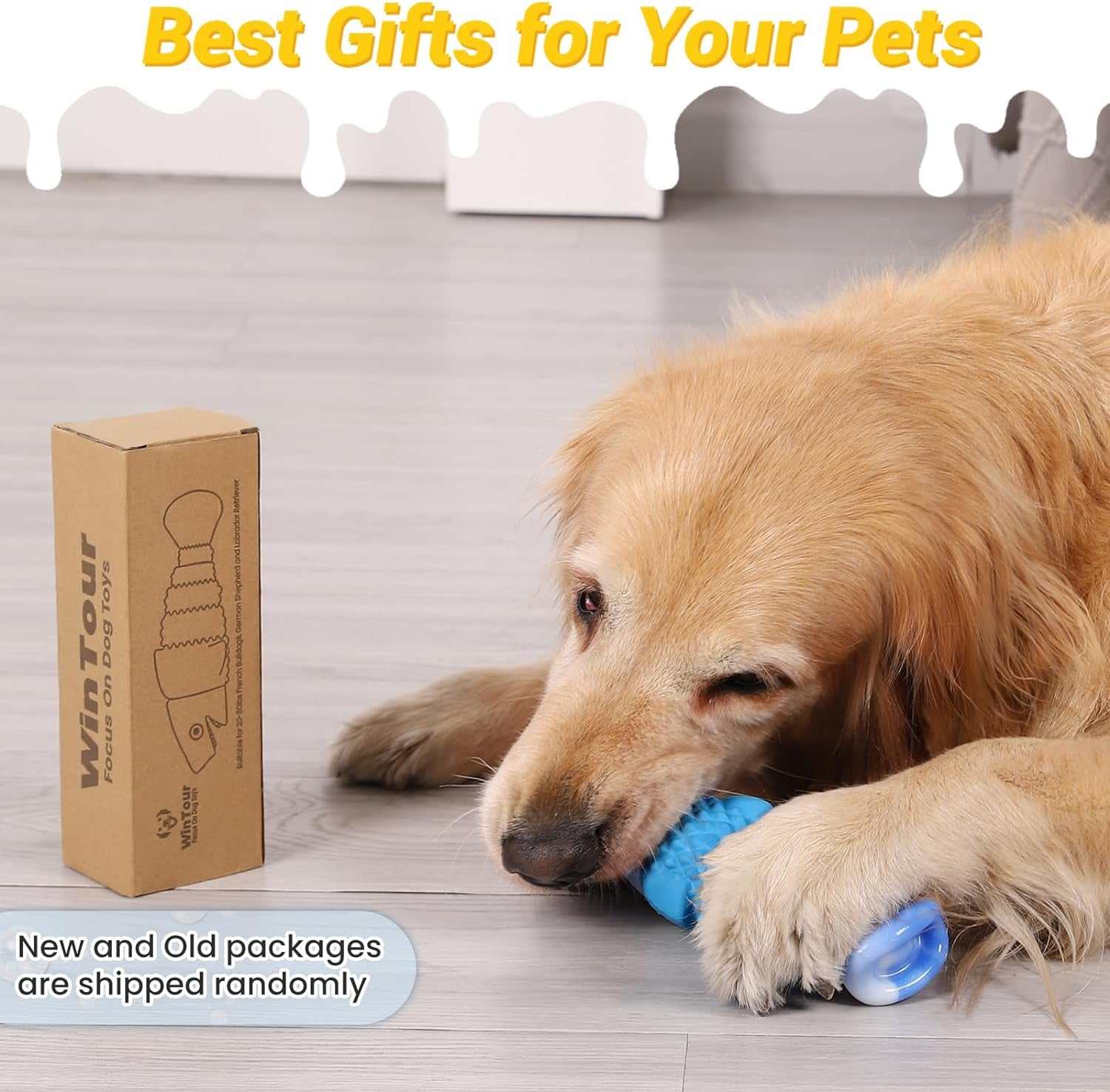 Medium to large dog chewing on a durable blue squeaky chew toy with bacon flavor, designed for aggressive chewers.