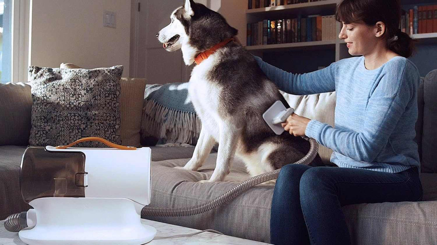 Woman using a powerful dog grooming vacuum kit with 12000Pa suction and 2L capacity to groom a large dog indoors