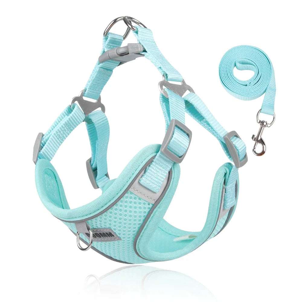 Light blue breathable mesh dog harness and matching leash set for small and medium pets with adjustable straps and reflective safety strips.