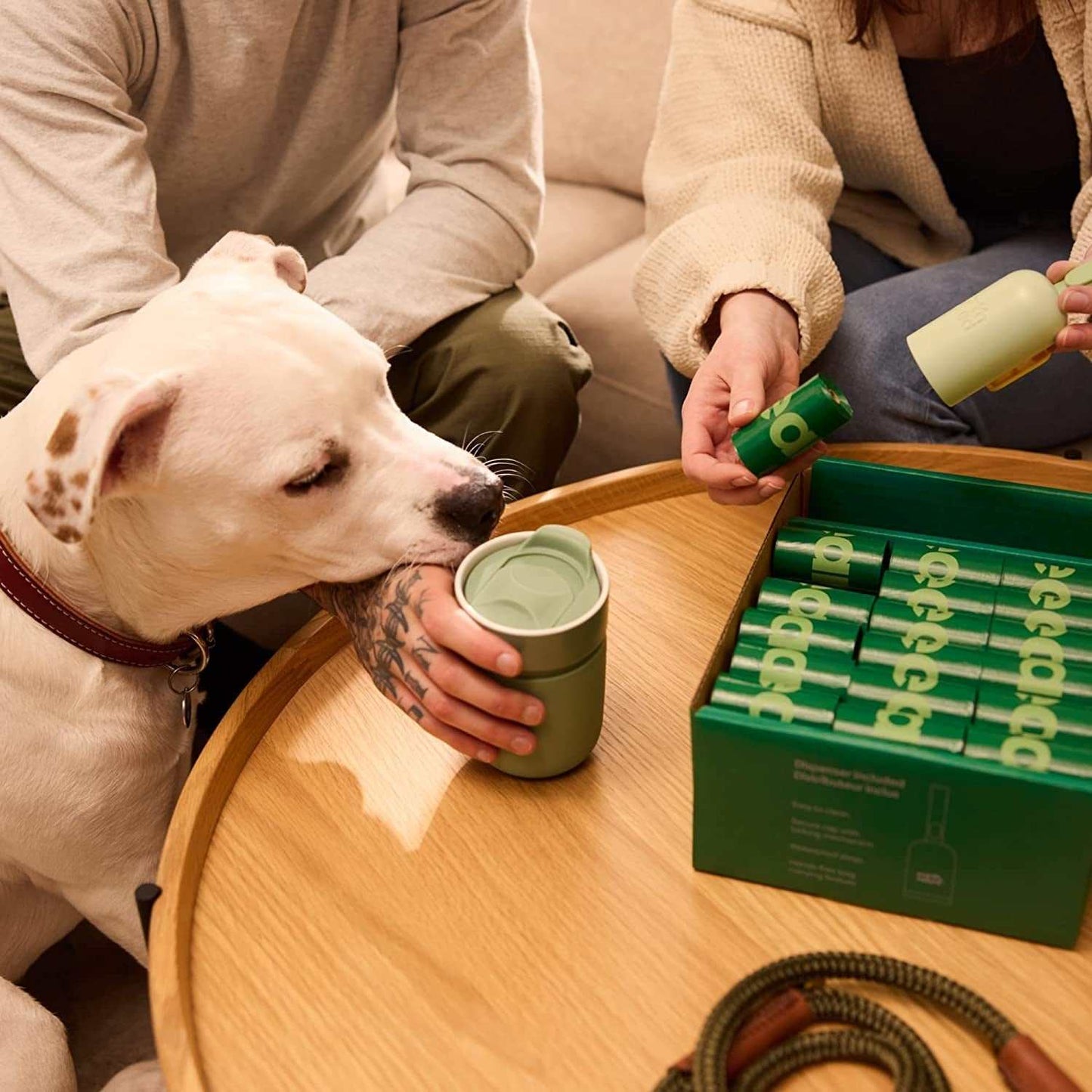 Green dog poop bag holder with detachable dispenser and lavender-scented biodegradable bags on wooden table, person opening dispenser near white dog