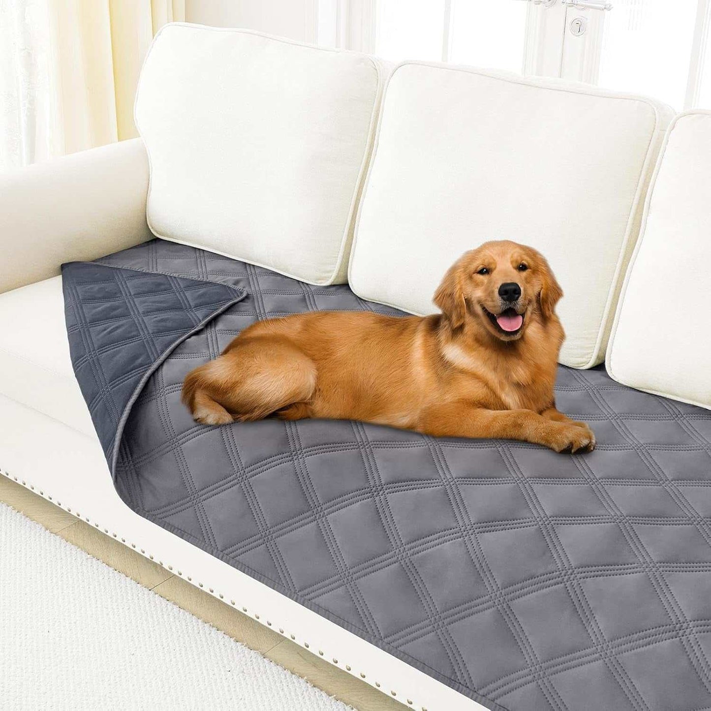 Dog lying on a waterproof reversible pet blanket covering a sofa for protection and comfort.