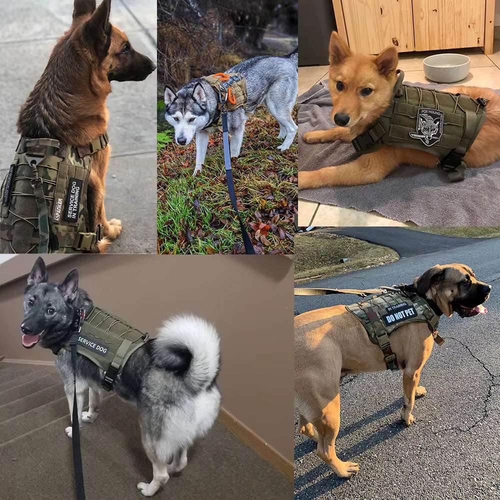 Collage of medium to large dogs wearing tactical dog harnesses with MOLLE webbing and reflective strips for outdoor and training activities