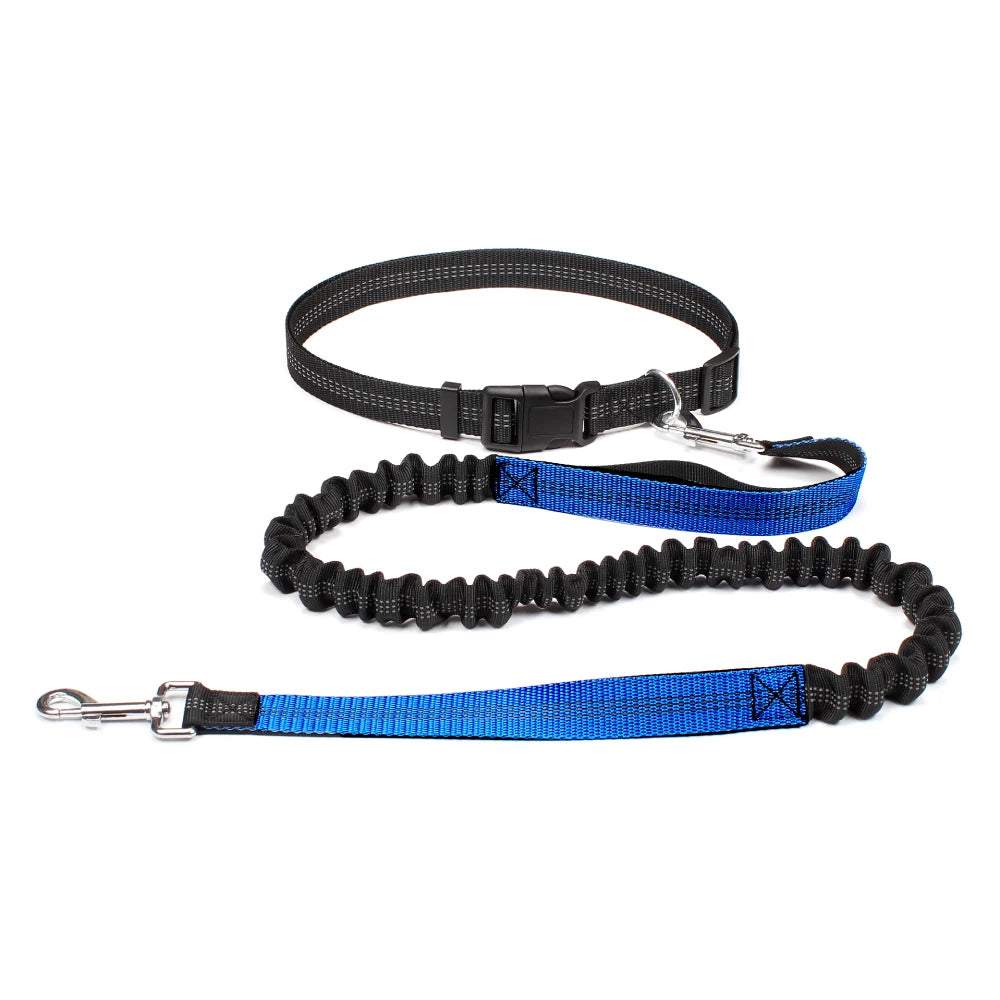Hands-free adjustable dog jogging leash with reflective stitching and durable nylon material