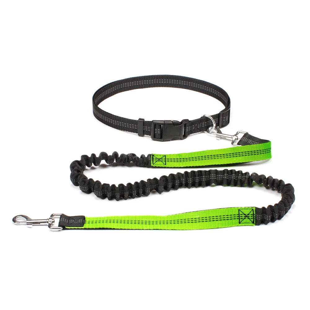 Adjustable hands-free dog jogging leash with reflective stitching and durable nylon material