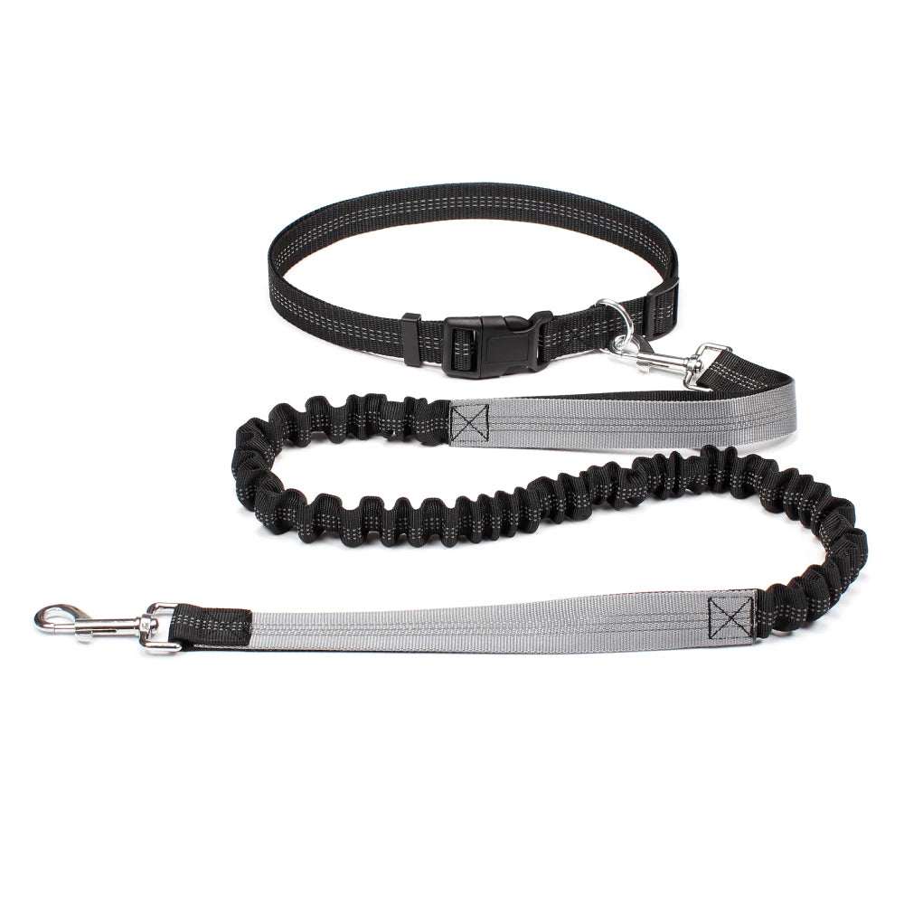 Hands-free adjustable dog jogging leash with durable nylon and reflective stitching