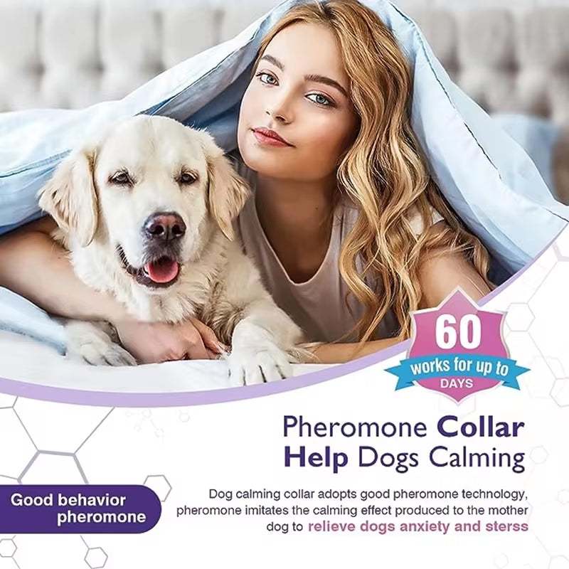Calming pheromone collar for dogs reduces anxiety and stress with adjustable, comfortable, non-toxic design.