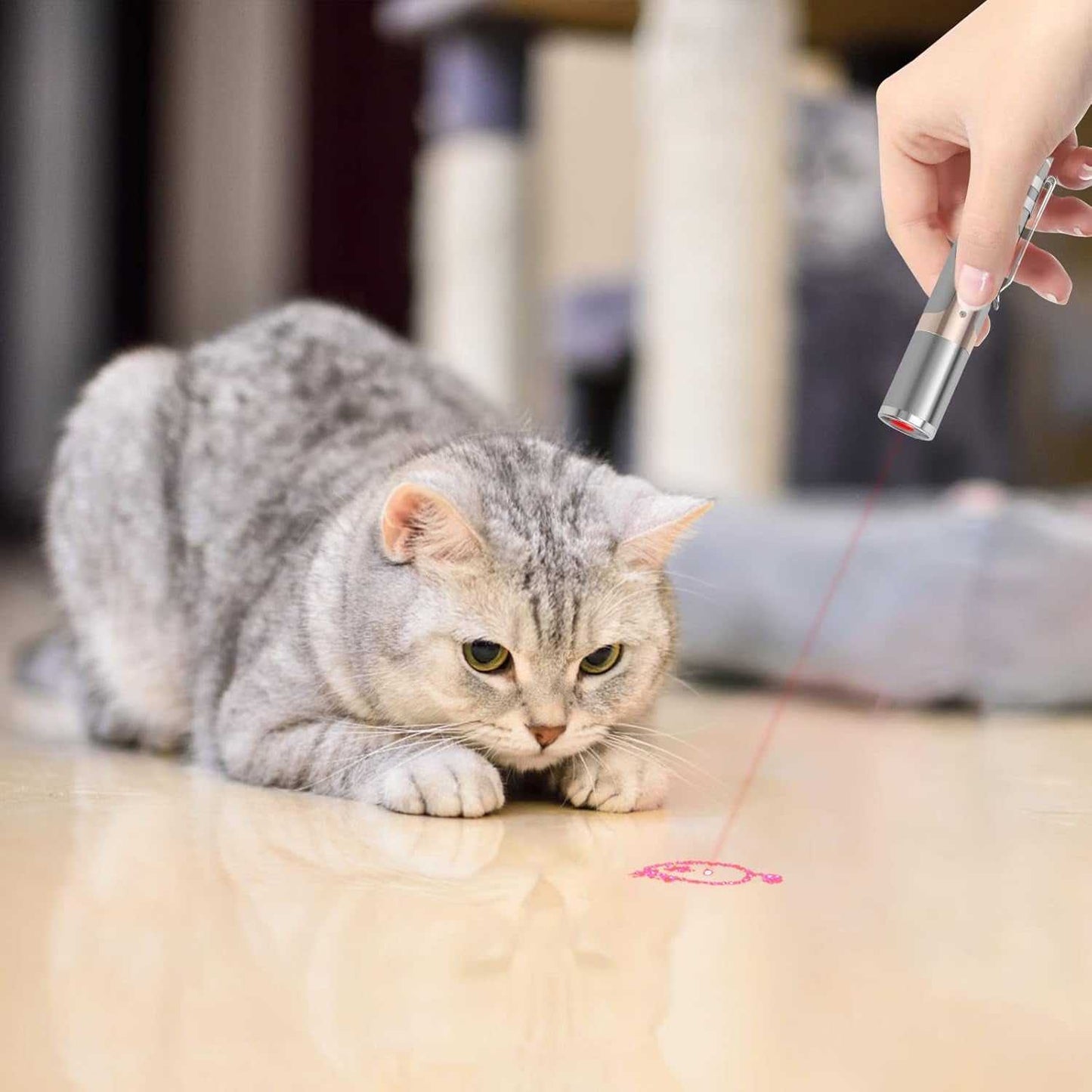 Interactive rechargeable cat toy projecting a moving red dot for cats to chase and play indoors