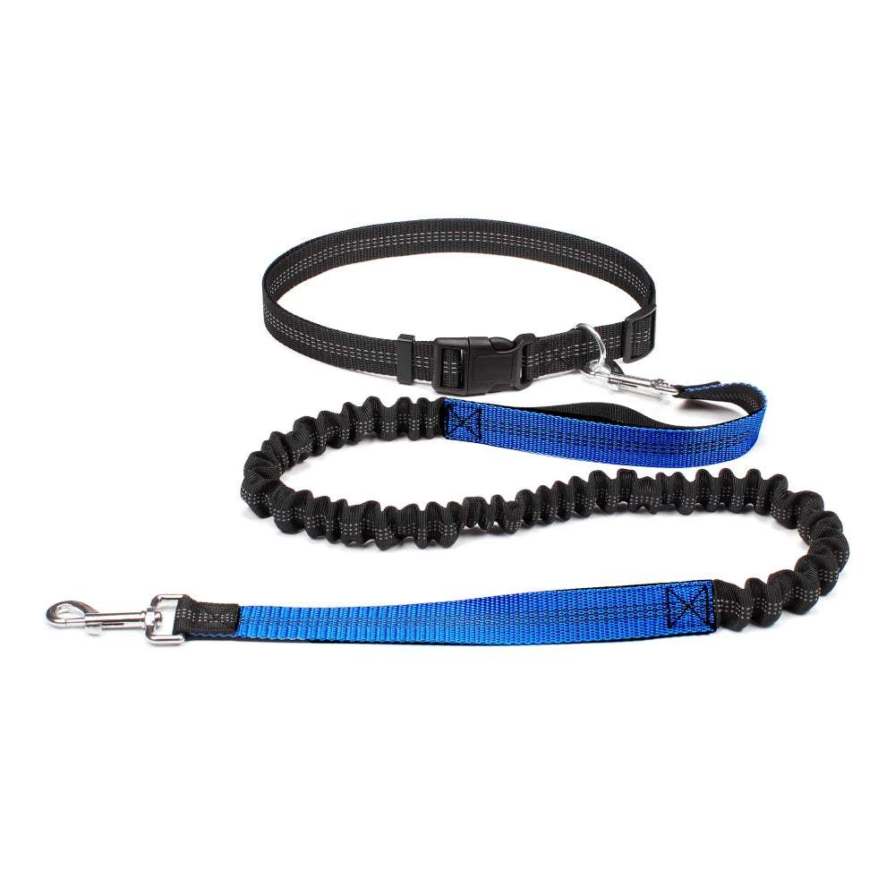 Adjustable hands-free dog jogging leash with durable nylon and reflective stitching for safety.