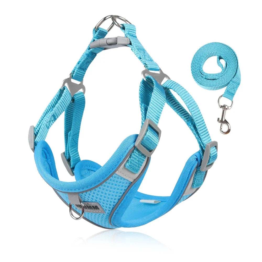 Blue breathable mesh dog harness and leash set with adjustable straps and reflective strips for small to medium pets