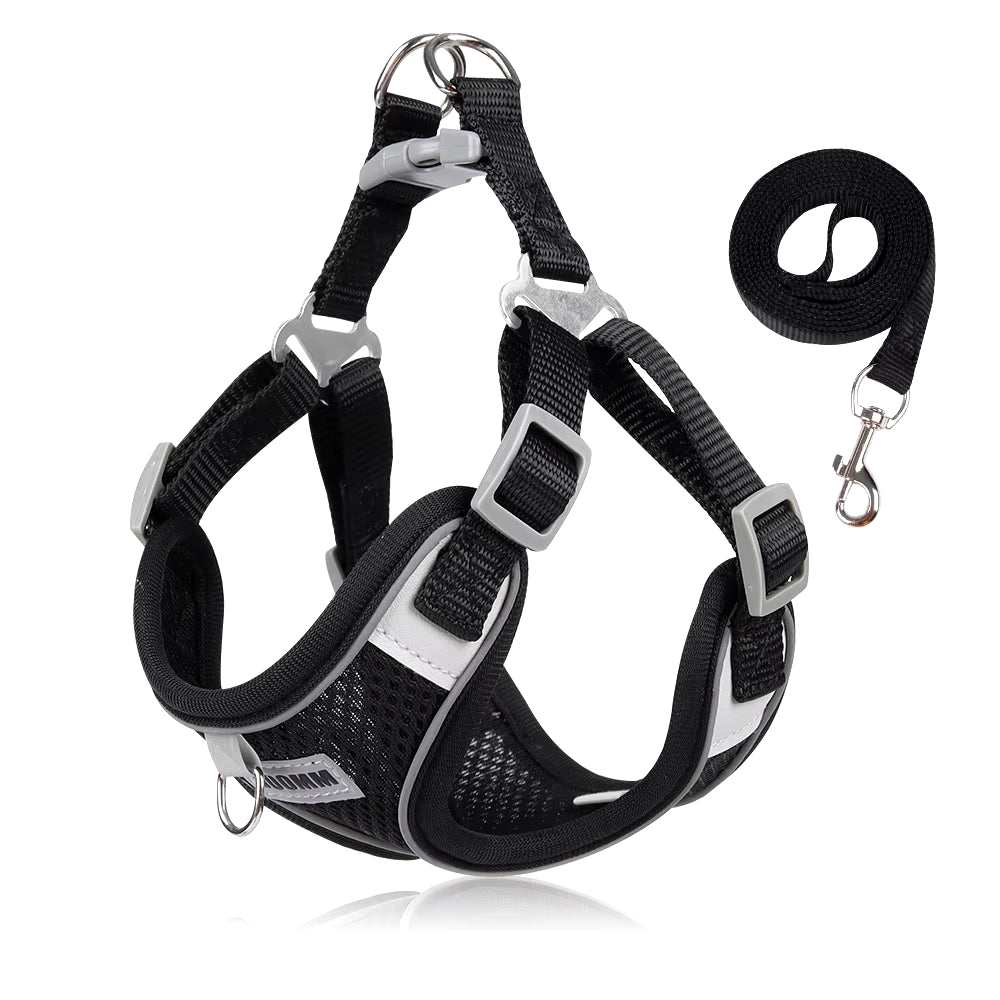 Black breathable mesh dog outdoor walking harness with adjustable straps and matching leash.