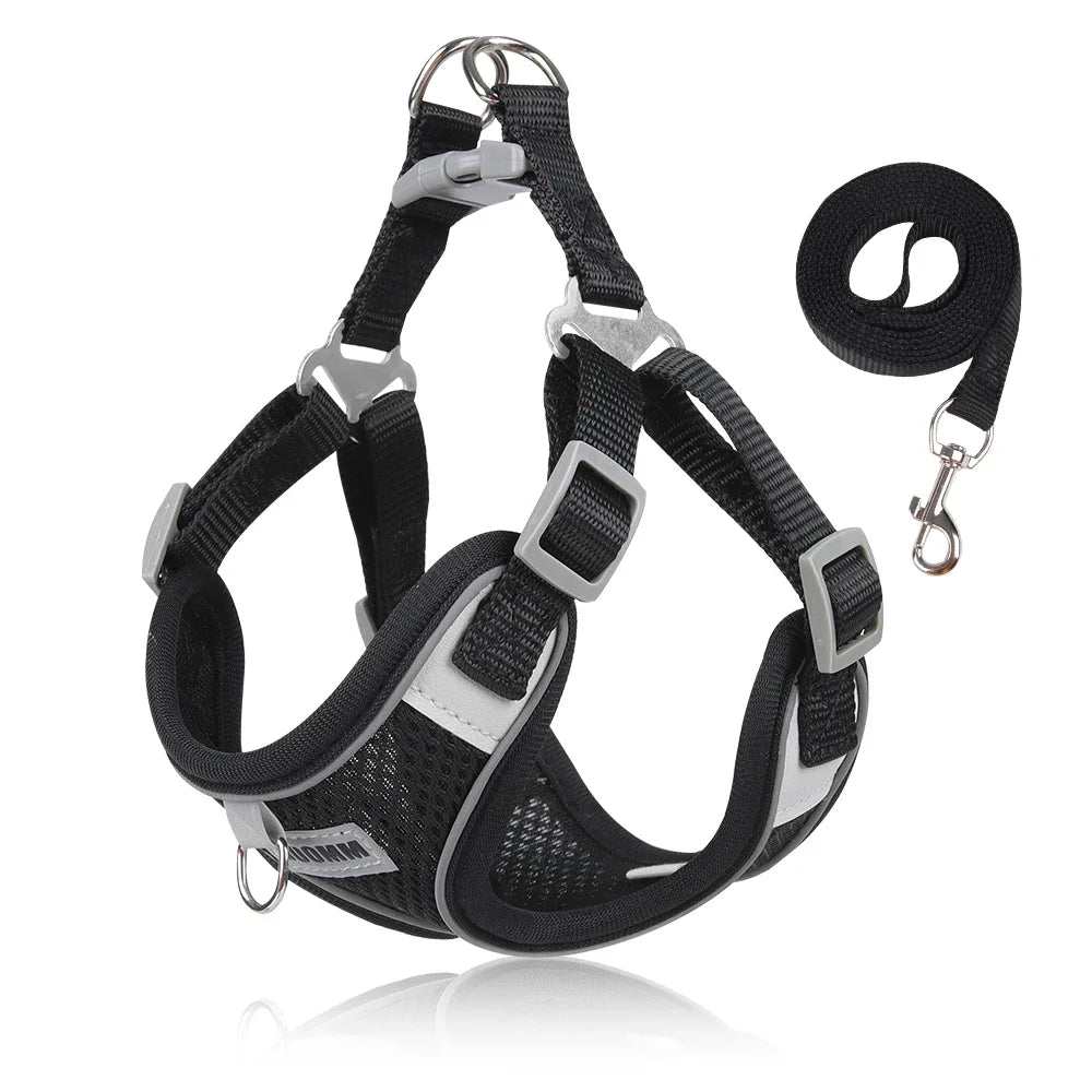 Black breathable dog outdoor walking harness with adjustable straps and reflective design, including a durable leash.