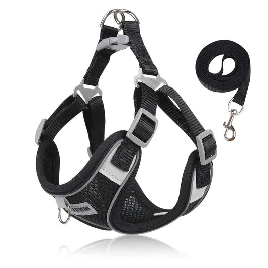 Black breathable dog outdoor walking harness with adjustable straps and reflective design, including a durable leash.