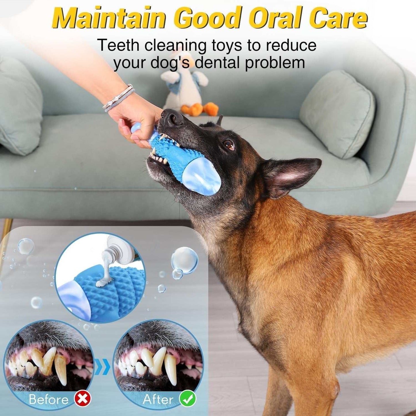 Medium to large dog chewing on a blue dog aggressive squeaky chew toy designed for dental care and tough chewers
