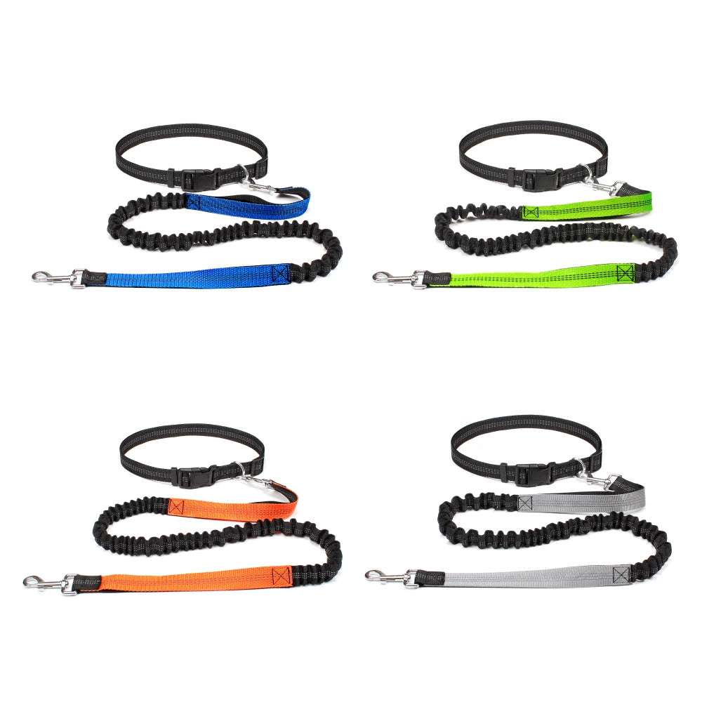 Adjustable hands-free dog jogging leashes in blue, green, orange, and gray with reflective stitching and sturdy waist belts.