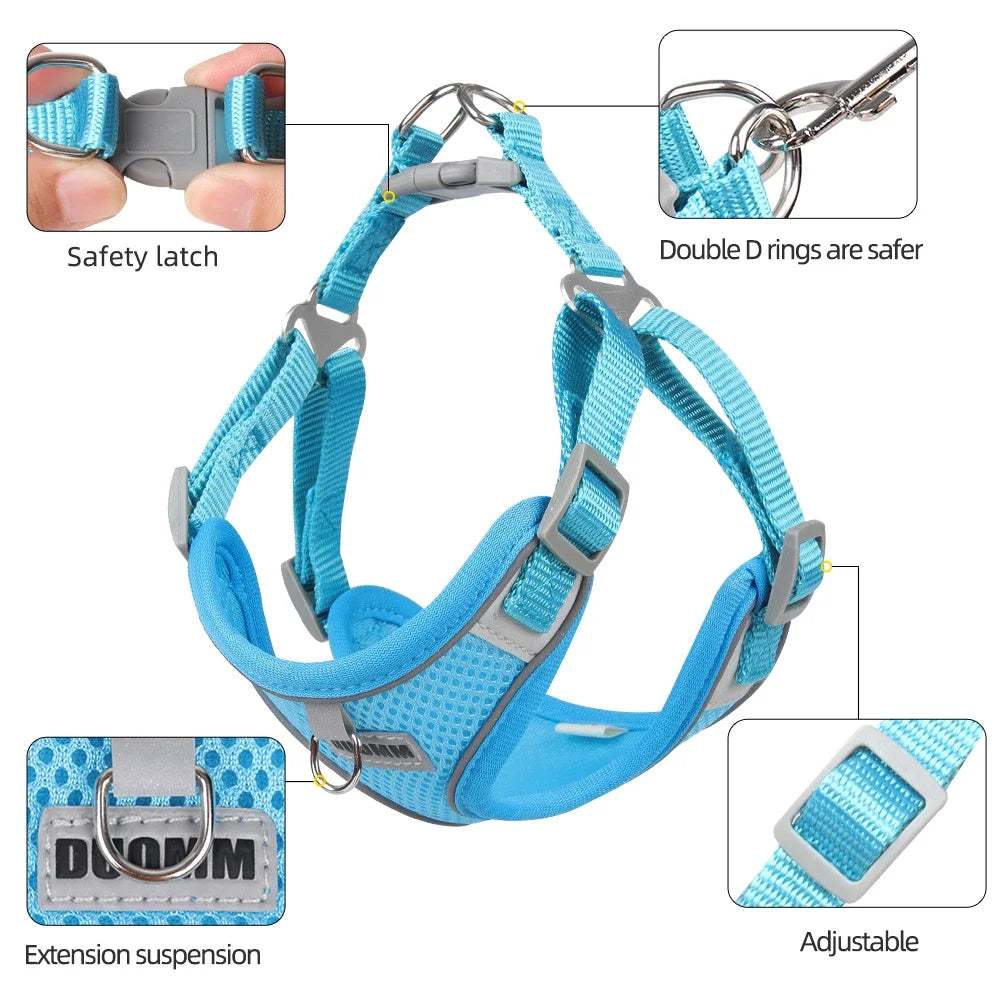 Blue adjustable dog outdoor walking harness with reflective strips and durable leash set