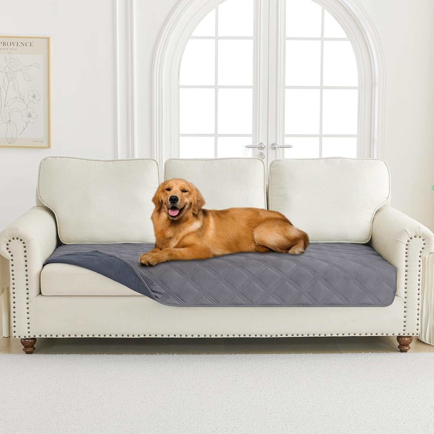 Waterproof reversible dog blanket on sofa with golden retriever resting comfortably