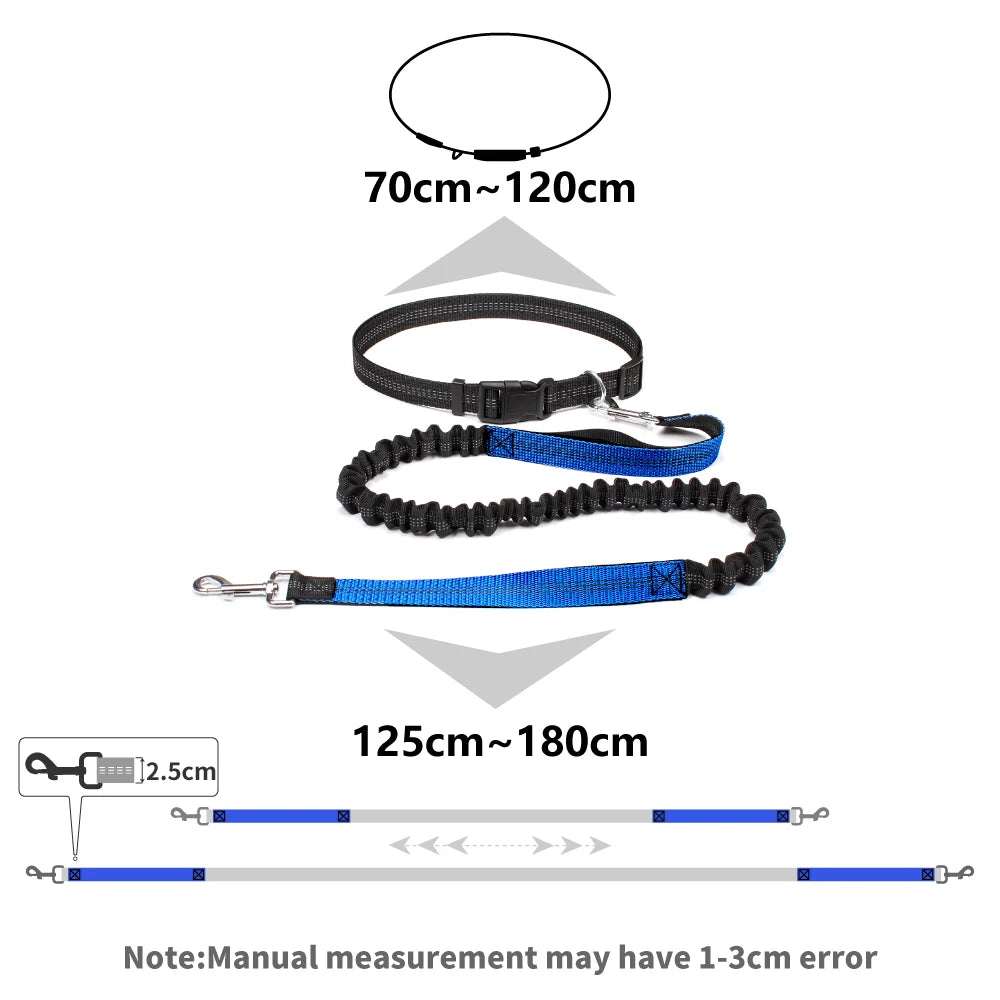 Adjustable hands-free dog jogging leash with reflective stitching and durable nylon material