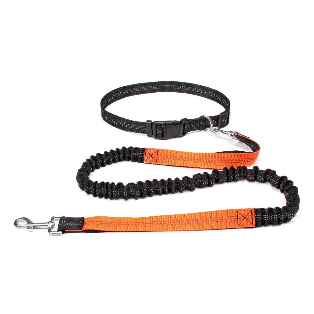 Adjustable hands-free dog jogging leash with reflective stitching and durable nylon material