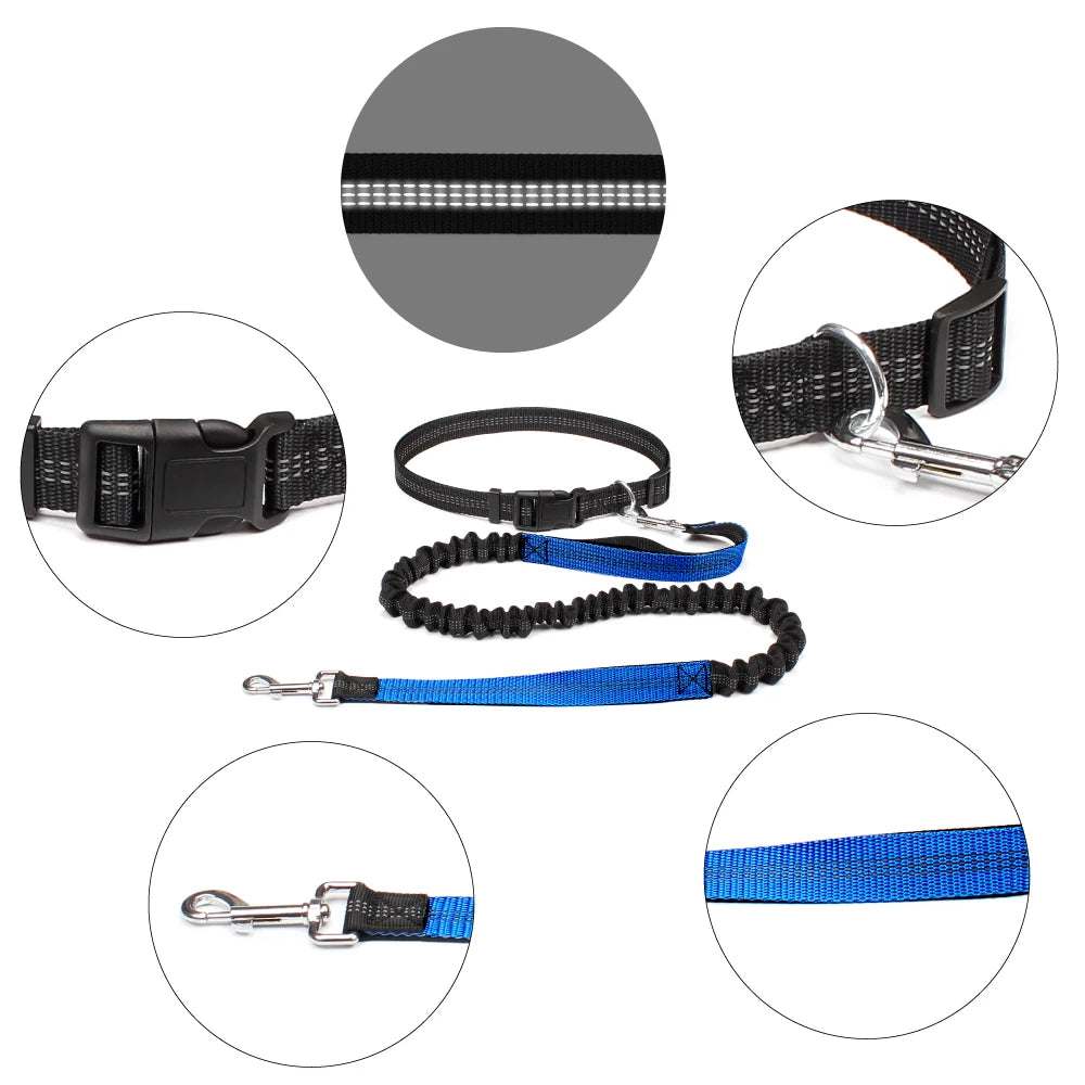 Adjustable hands-free dog jogging leash with reflective stitching and durable nylon material