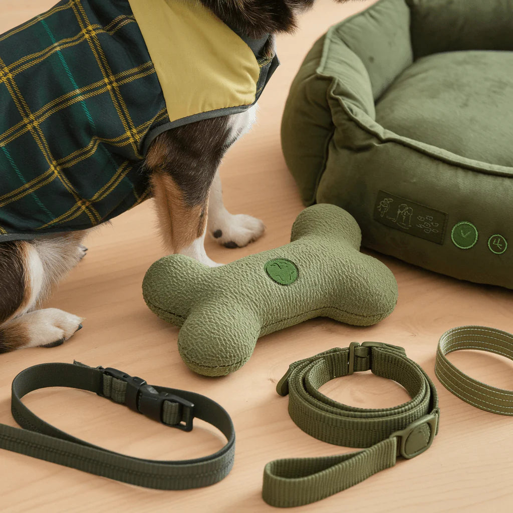 Shop Eco-Friendly, Zero-Waste Goods | Eco Wise Findings